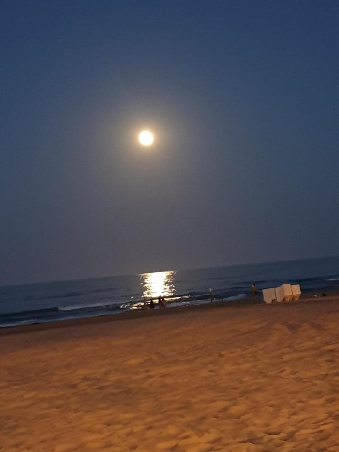 Apartamento En Primera Linea En La Playa De San Juan Benimagrell Dış mekan fotoğraf
